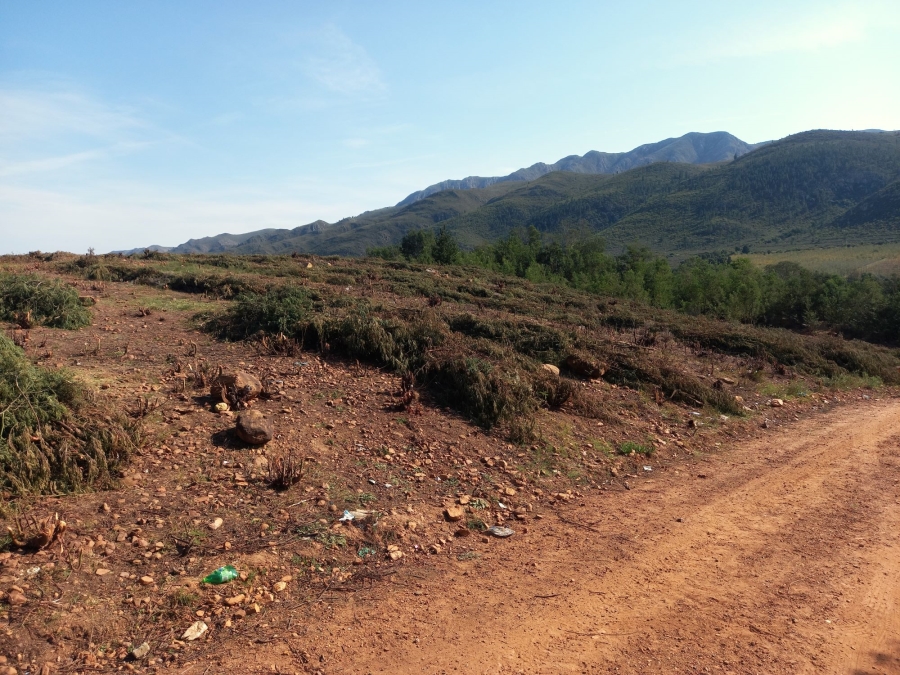 0 Bedroom Property for Sale in Haarlem Western Cape